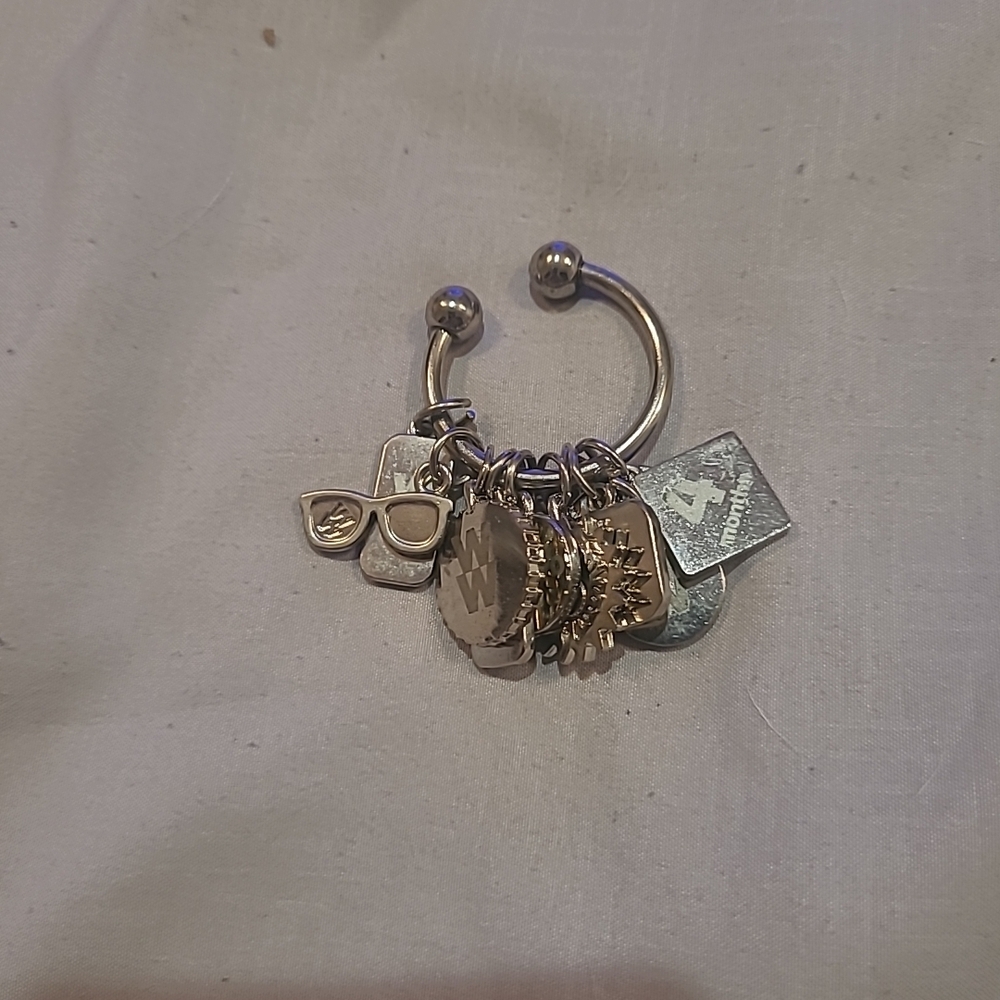 Weight Watchers Key Chains with Multiple Charms 10 Of Them